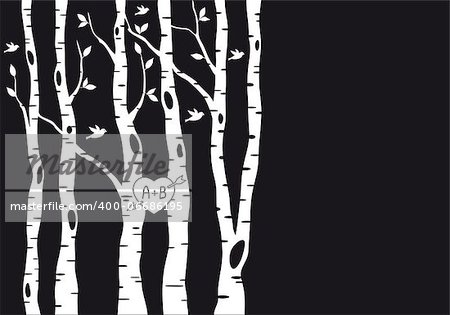 wedding invitation template with birch trees, birds and heart, vector