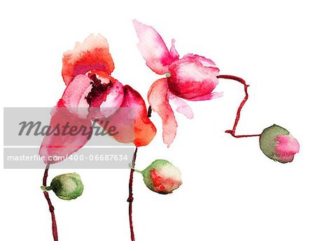 Beautiful orchid flowers, watercolor illustration