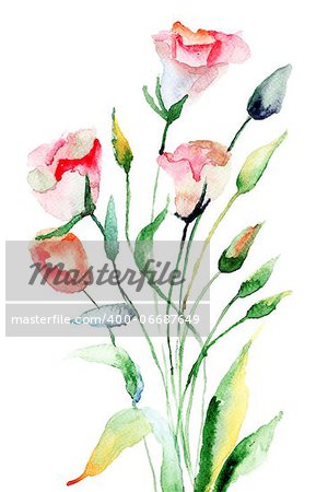 Summer flowers, watercolor illustration