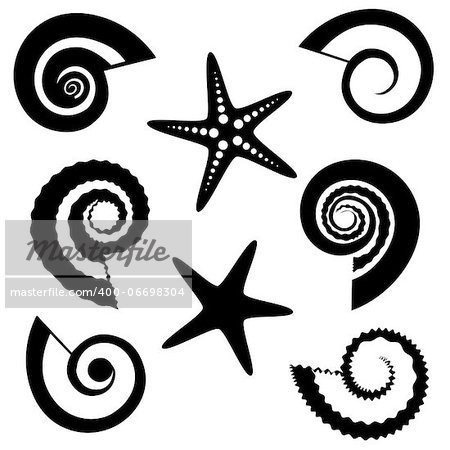 Set of shells and starfish silhouettes isolated on white