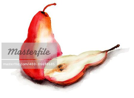 Illustration of pear