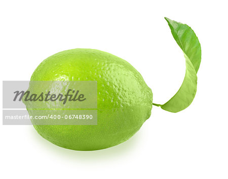 Full fresh lime with one green leaf. Placed on white background. Close-up. Studio photography.