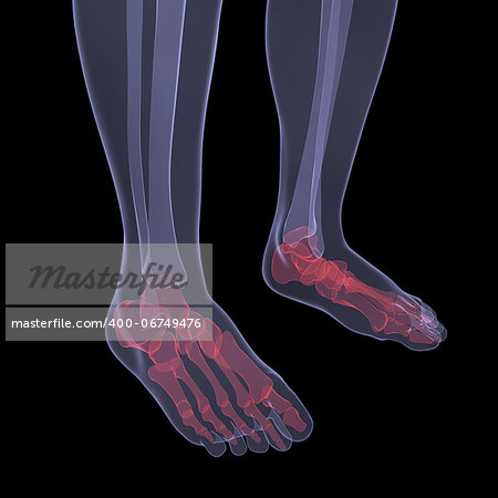 X-ray of human legs. Render on a black background