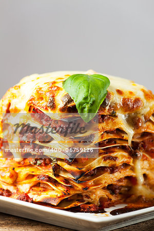 fresh italian lasagna