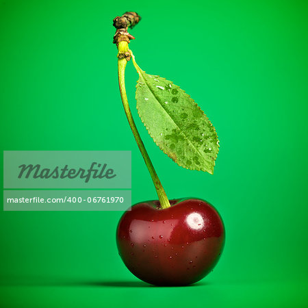 fresh red cherry with stem on green background