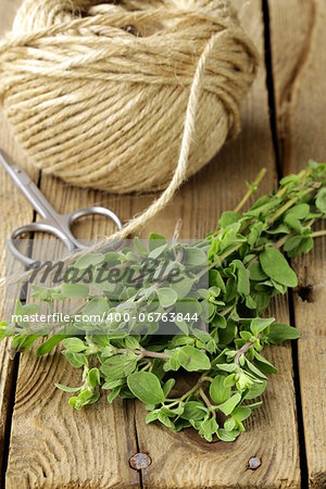 fresh organic oregano (marjoram) on a wooden board