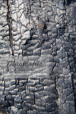 burnt wood texture