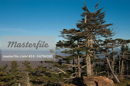 Appalachian Mountains from Mount Mitchell, the highest point in the eastern United States
