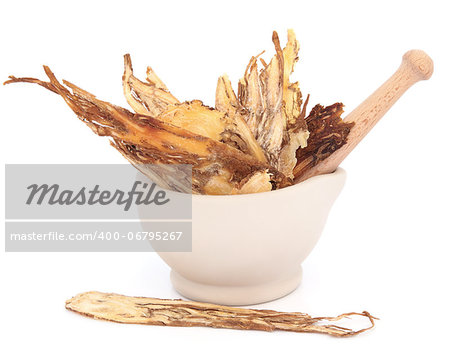 Angelica herb root in a stone mortar with pestle over white background. Dang gui.