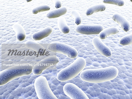 Colony of pathogen bacteria - 3d render