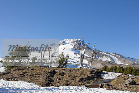 Mount Hood with Clear Blue Sky in Oregon