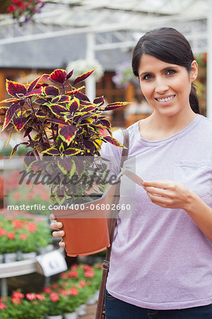 Woman reading the price of plant in garden center