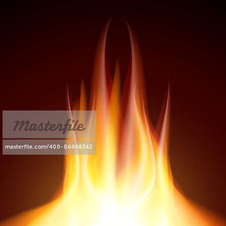 Fire flame burn on black background, Zip includes 300 dpi JPG, Illustrator CS, EPS10. Vector with transparency.