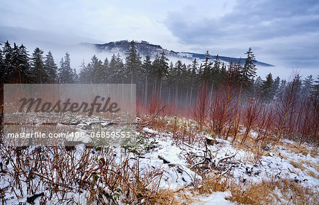 Harz mountains covered with snow in winter