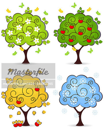 Four seasons of spring, summer, autumn, winter in a tree isolated on white background
