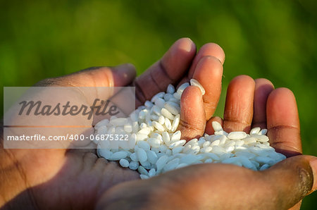 Closeup of African child holding rice. Concept of hunger in Africa.