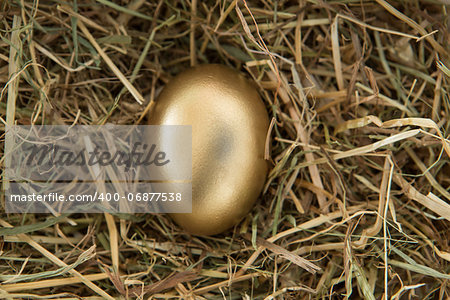 Golden egg nestled in the straw