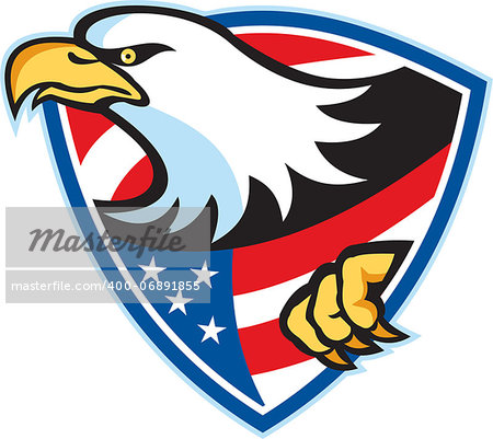 Illustration of an American bald eagle american stars stripes flag set inside shield on isolated white background.