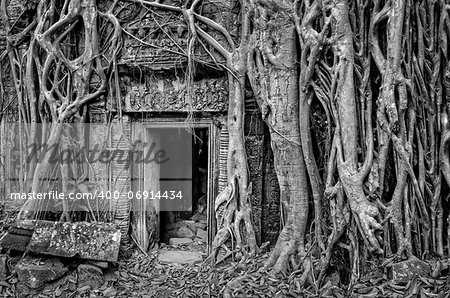 Ancient stone temple door and tree roots - monochrome vintage view, Angkor Wat, Cambodia