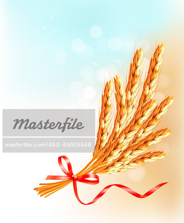 Ears of wheat  with red ribbon. Vector illustration.