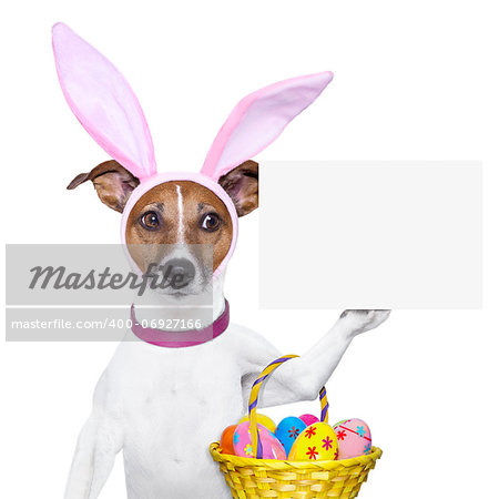 dog dressed up as bunny with easter basket and a banner