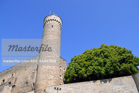 Toompea tower in summer day. Tallinn, Estonia.