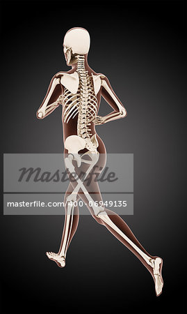 3D render of a female medical skeleton running