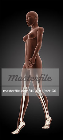 3D render of a female medical skeleton walking with knee and ankle highlighted