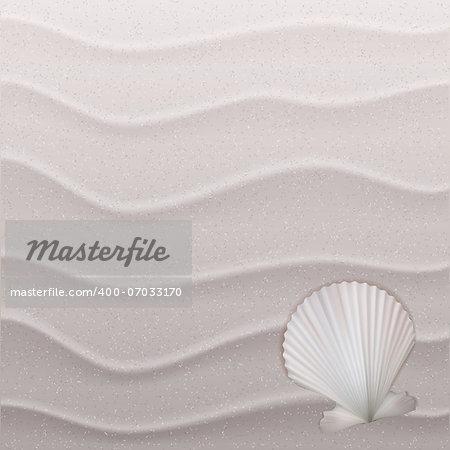 Marine background with seashell on sand. Vector illustration