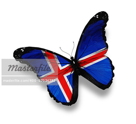 Icelandic flag butterfly, isolated on white