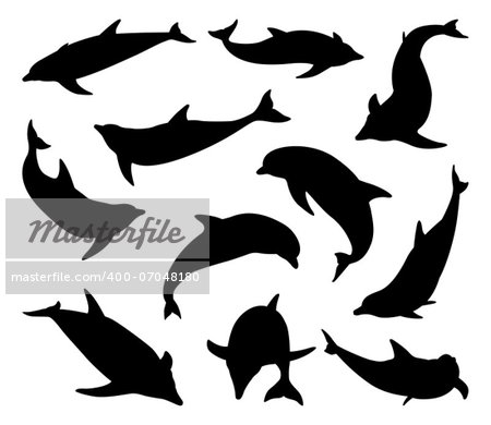 A set of dolphin silhouettes in various positions and from different angles