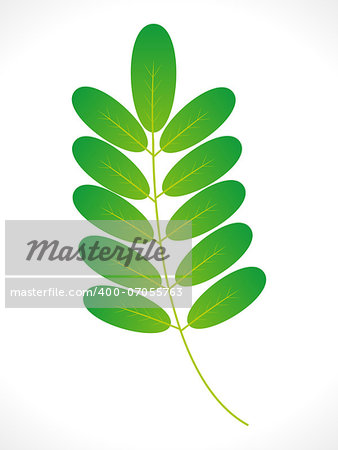 abstract eco green leaf icon vector illustration