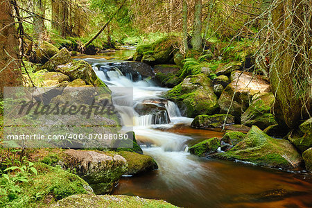 River runs over boulders in the primeval forest - HDR