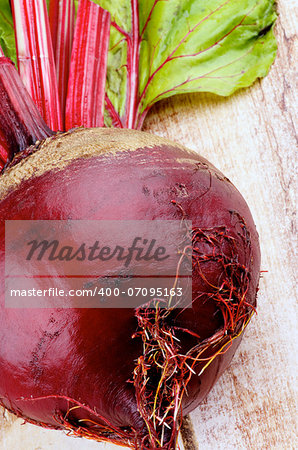 Perfect Raw Beetroot with Beet Tops closeup on Wooden background