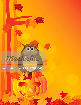 Happy Halloween Orange Fall Color Cartoon Owl Sitting on Jack O Lantern Carved Pumpkin with Fall Color Maple Tree Leaves Background Illustration