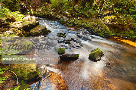 River runs over boulders in the primeval forest - HDR