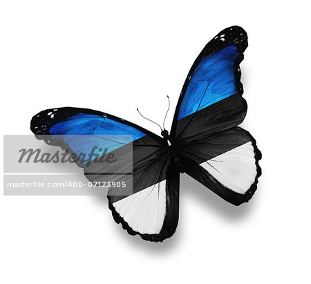 Estonian flag butterfly, isolated on white