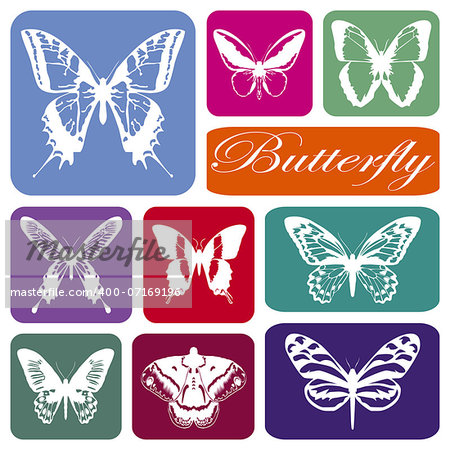 Wallpaper with butterflies silhouettes in colorful rectangles