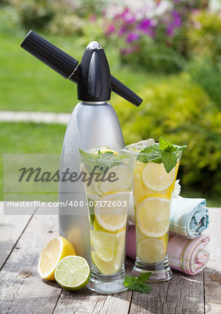 Homemade lemonade with fresh citruses and siphon on garden table