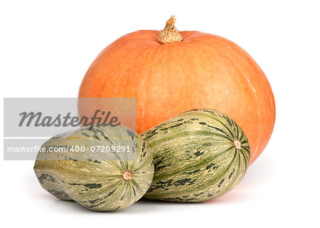 Pumpkin and Squash isolated on white background