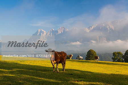 On a farm in the high mountains in Austria