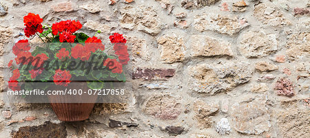 Pienza, Tuscany region, Italy. Old wall with flowers