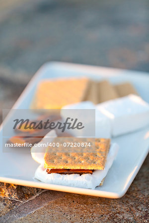 smores and its ingredients on the plate