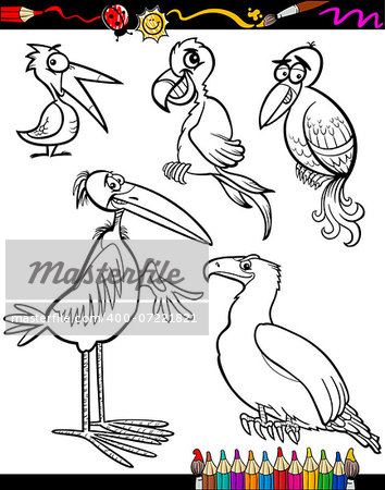 Coloring Book or Page Cartoon Illustration Set of Black and White Birds Animals Mascot Characters for Children