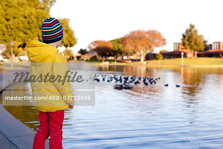 little boy watching birds by the pond