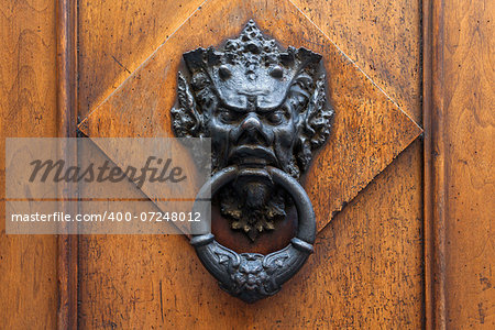 Old door knocker in the form of a lion head, Florence, Italy