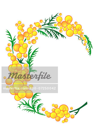 Illustration of abstract mimosa branch isolated