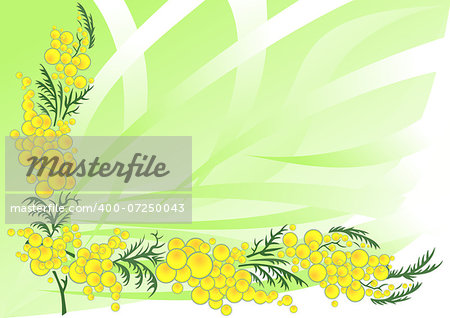 Illustration of abstract mimosa branch with background