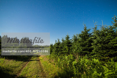 Country Road in the forest with Clear Sky and Stars at Night Time