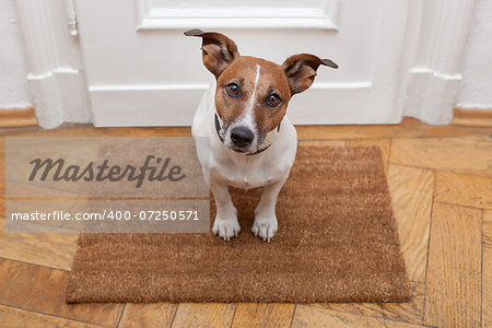 dog welcome home on brown mat